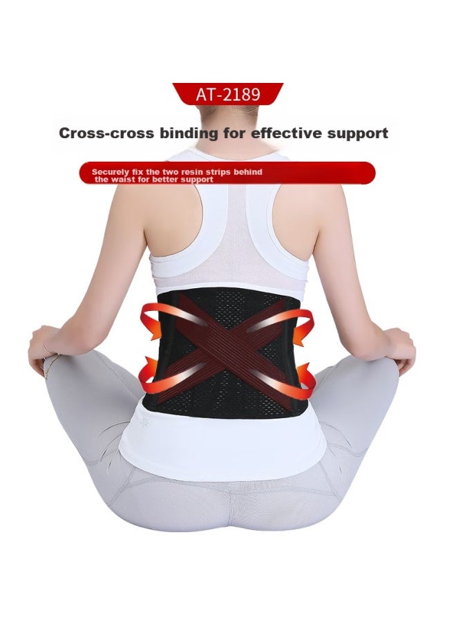 DM D&M Imported Back Support Belt For Lumbar Disc, Waist, And Herniated Disc, Fixed Support For Men And Women, All-Season Style - Image 4
