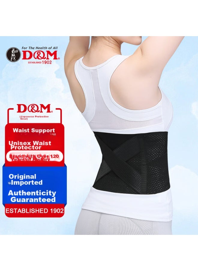 DM D&M Imported Back Support Belt For Lumbar Disc, Waist, And Herniated Disc, Fixed Support For Men And Women, All-Season Style - Image 1