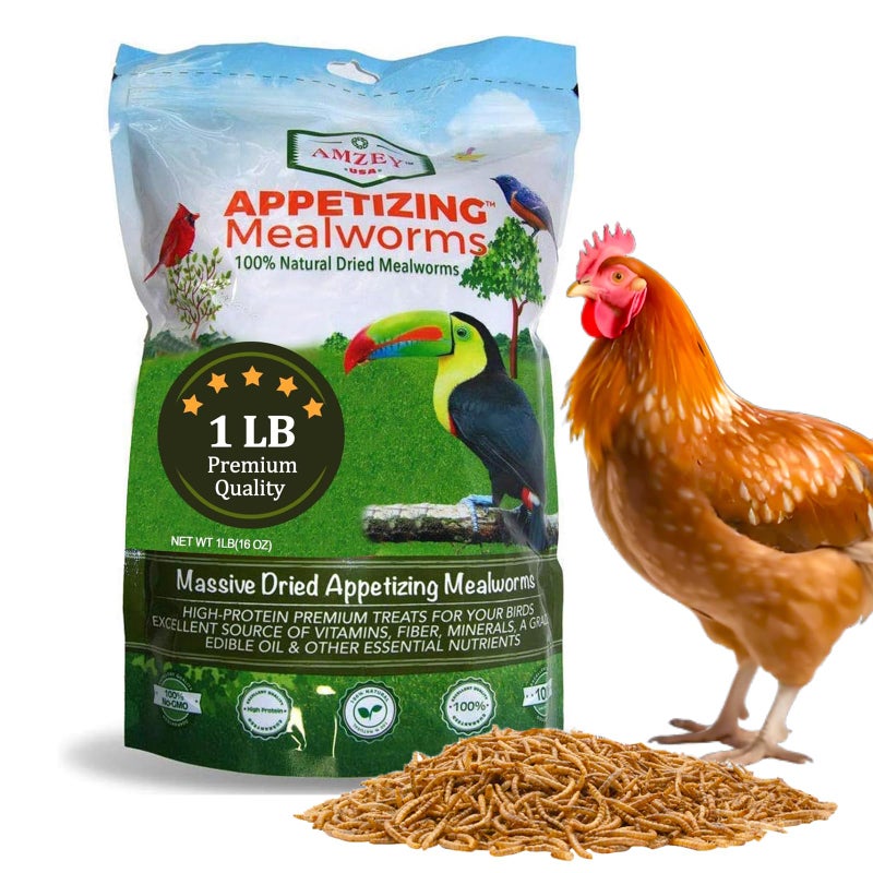 Amzey Dried Mealworms 1 LB 100 Natural Meal Worms for Chicken Birds Organic Chicken Feed for Laying Hens High Protein and Nutrition Zipped Bag