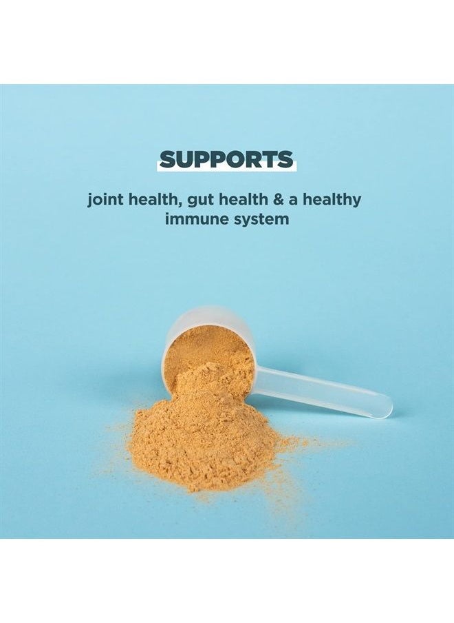 Ancient Nutrition - Bone Broth Protein Powder, Salted Caramel, 19g Protein per Serving, Beef, Supports Healthy Skin, Gut Health, Joint Supplement, Gluten Free, Paleo and Keto Friendly, 20 Servings - Image 1