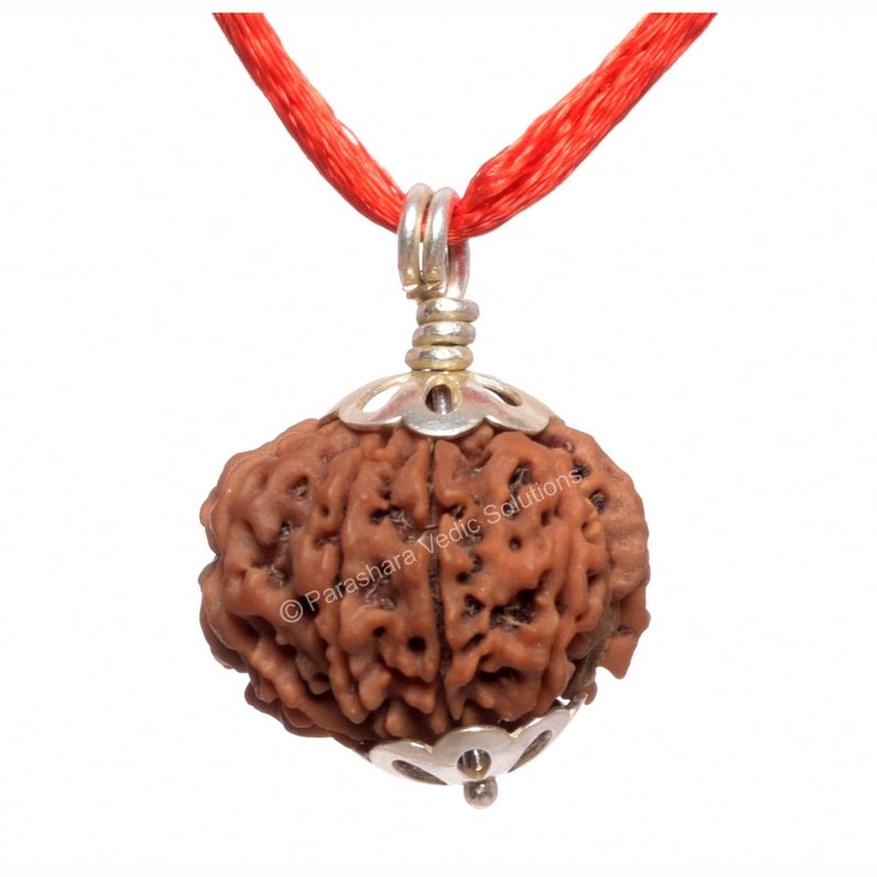 Arkam Nine Mukhi Rudraksha Certified/Original Nepali 9 Mukhi Rudraksh/Natural 9 faced Rudraksha with Silver Pendant (Brown) with Certificate and Puja Instructions - Image 1