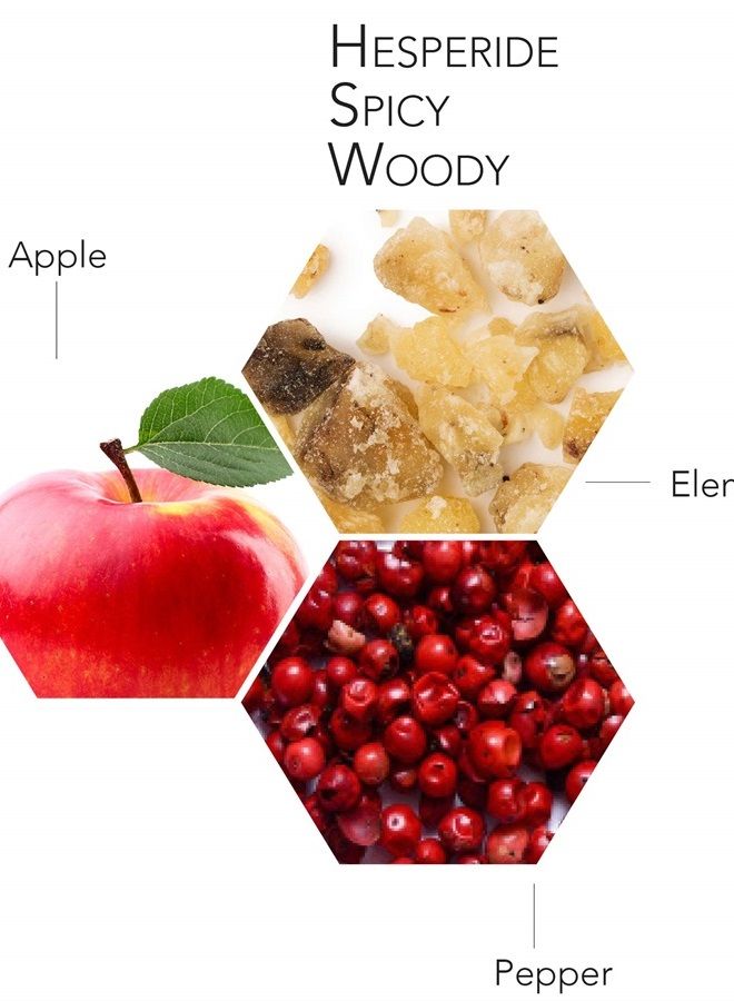 PASCAL MORABITO Sunset Boulevard- 3.4 Oz Eau De Toilette - Fragrance Mist For Men - Spicy Woody Aromatic Scent - Cologne Spray With Apple, Geranium, Pepper, Veviter Amber, Patchouli Accords - Image 2