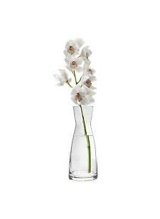 Bormioli Rocco Bormioli Rocco Glass Vase 20.6 Cms 1 Pc, Ypsilon Caraffa Grey Colour Vase for Home Decor  - Image 4