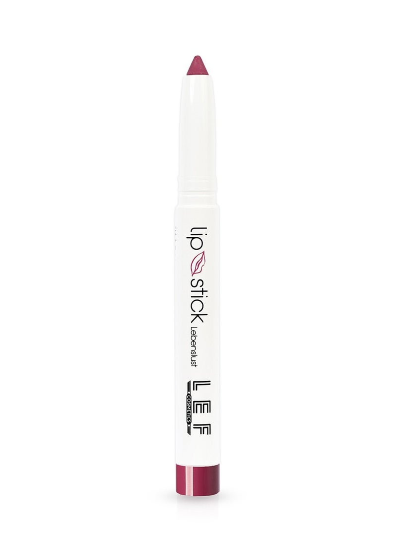 LEF COSMTICS Lipstick LEF Pencil Absolute Moisturizing Effect - Image 2