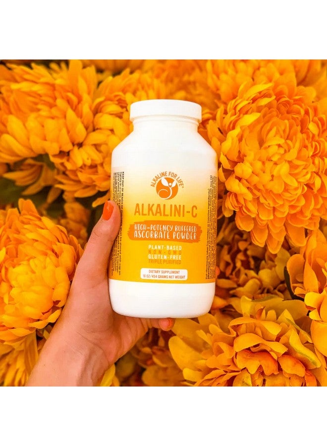 Alkaline for Life فيتامين سي النباتي اللذيذ القلوي؛ خالي من الكائنات المعدلة وراثيًا؛ مضاد أكسدة قوي قلوي؛ ليس حمض الأسكوربيك الاصطناعي؛ قاعدة عضوية - Image 5