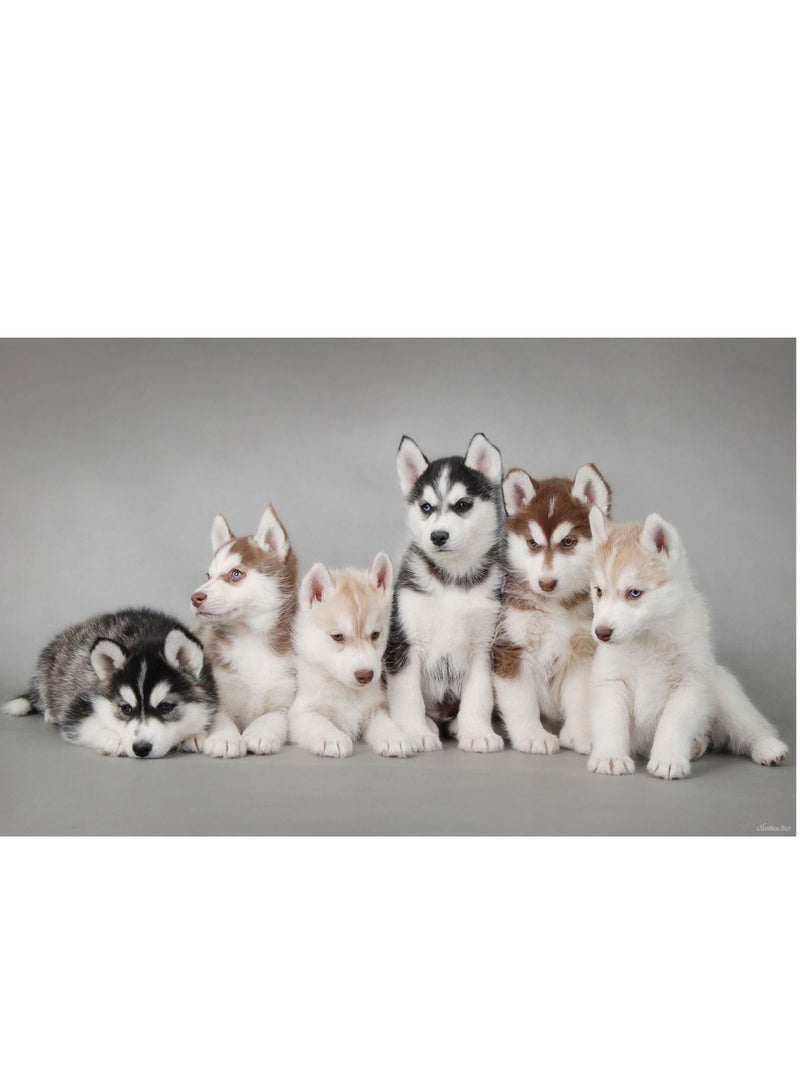 STRATEG DIY 5D Round Diamond Painting Multicolor - Image 1