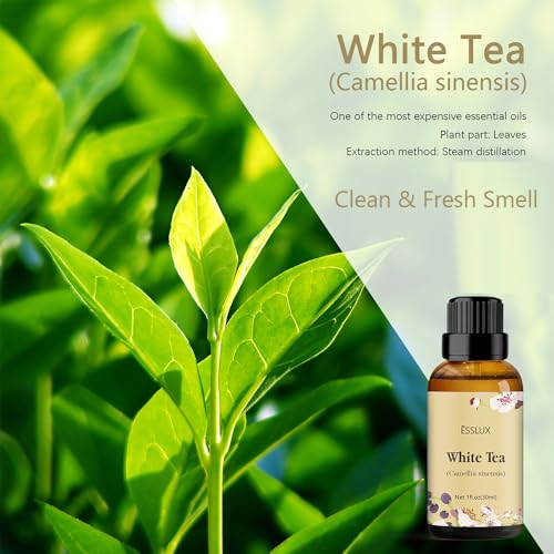 ESSLUX White Tea Essential Oil ESSLUX Aromatherapy Essential Oils for Diffuser Massage Soap Candle Making Home Fragrance 30 ml - Image 3