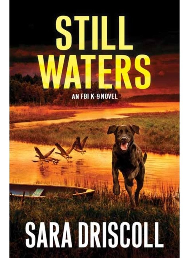 Still Waters A Riveting Novel of Suspense - Hardback