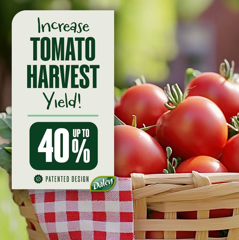 DALEN Gardeneer Tomato Tray Super Boost â€“ Increases Tomato Plant Yield up to 40% â€“ Easy to Install â€“ 12" Wide x 12" deep x 3.5" high â€“ Pack of 3 - Image 2