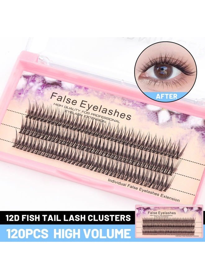 Bodermincer Scala Fish Tail Design 120pcs Thickness 0.1mm C Curl 12 Root Women Lady Individual Black False Eyelash Cluster Eye Lashes Extension Tools (10mm) - Image 2