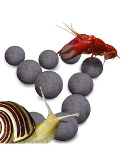 SunGrow Snail And Crayfish Energy Balls, Enhance Color, CalciumRich Gray Pearls For Invertebrates, Aquarium Décor With Beneficial Elements, 20Pieces Per Pack  - Image 1