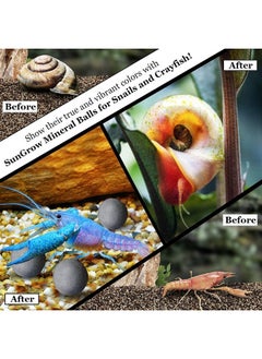 SunGrow Snail And Crayfish Energy Balls, Enhance Color, CalciumRich Gray Pearls For Invertebrates, Aquarium Décor With Beneficial Elements, 20Pieces Per Pack  - Image 4