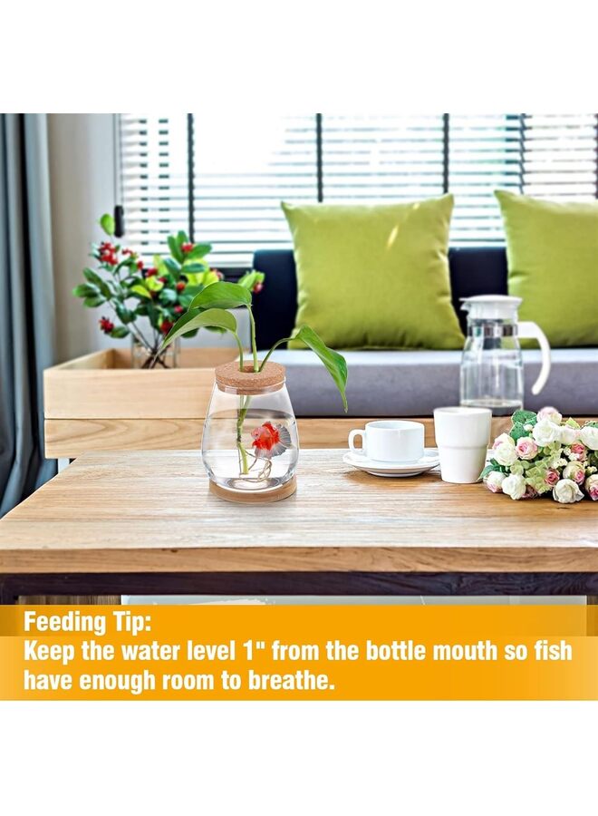 حوض أسماك بيتا - أوعية صغيرة لأسماك بيتا، حوض أسماك مائي شفاف للنباتات المائية لتعزيز النظام البيئي المائي - على شكل قطرة (الحجم: 1000 مل) - Image 4