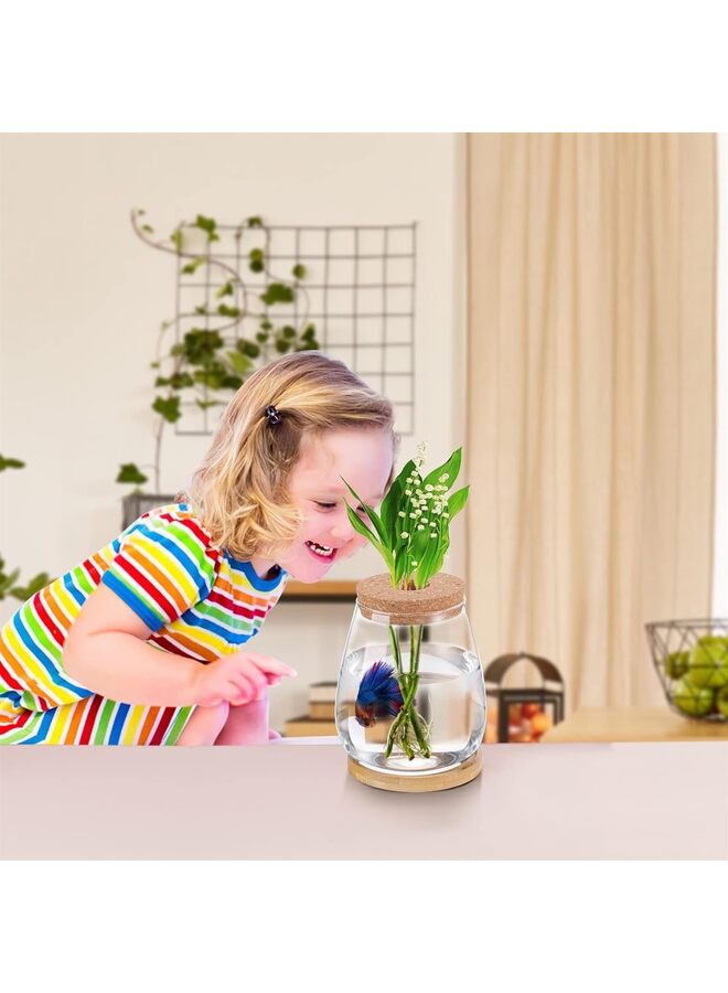 حوض أسماك بيتا - أوعية صغيرة لأسماك بيتا، حوض أسماك مائي شفاف للنباتات المائية لتعزيز النظام البيئي المائي - على شكل قطرة (الحجم: 1000 مل) - Image 5