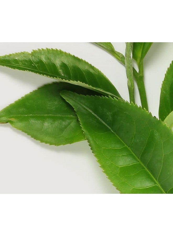 Yanbal Eau Vitale Aromatherapy Mist Té Verde - Image 4