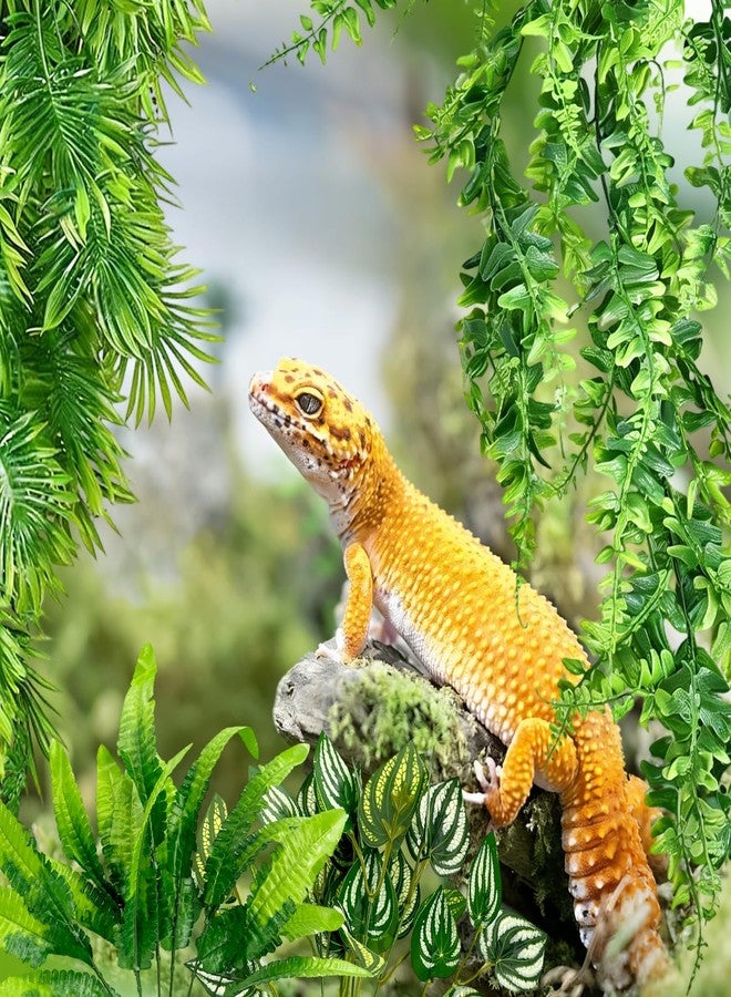 FALESHOS Habitat Plants for Bearded Dragon Tank Accessories,Created to Enhance Diverse Scaled Creature habitats for Species Such as Bearded Companions, Chameleons, Turtles, and Snakes - Image 4