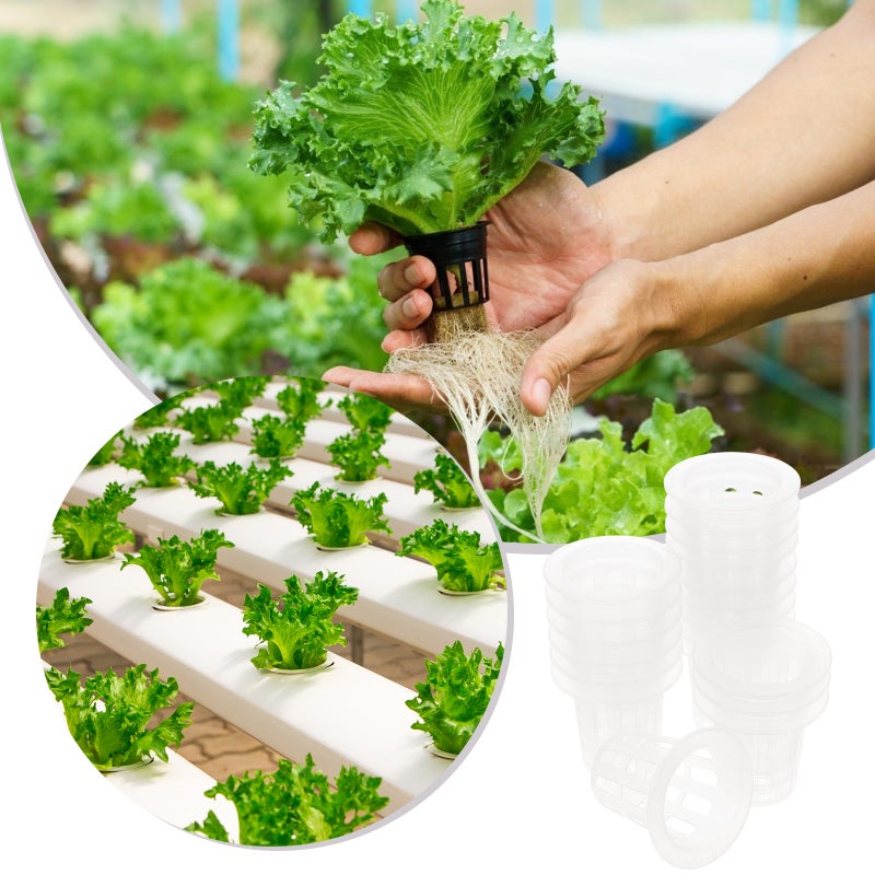 🌱 سلال زراعة للمشاريع المائية مقاومة للتآكل متعددة الاستخدامات في الحدائق - Image 2
