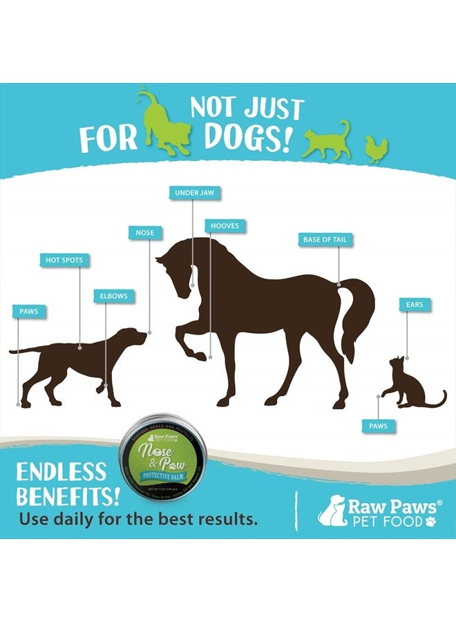 Raw Paws بلسم أنف الكلاب الطبيعي للبولدوغ، 4 أونصات - كريم أنف الكلاب وتخفيف أنف القطط - بلسم لتخفيف أنف الكلاب - كريم مهدئ لأنف الكلاب - زبدة أنف البولدوغ الفرنسي مرطب أنف الكلاب - Image 5