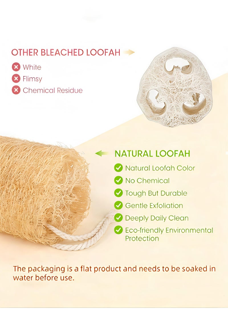 Loucky Natural Egyptian Loofah-2pcs, 100% Organic Exfoliating Loofa, Eco-Friendly Biodegradable Body Scrubber, Exfoliating Bath Sponge, Unscented No Bleach（12cm ） - Image 3