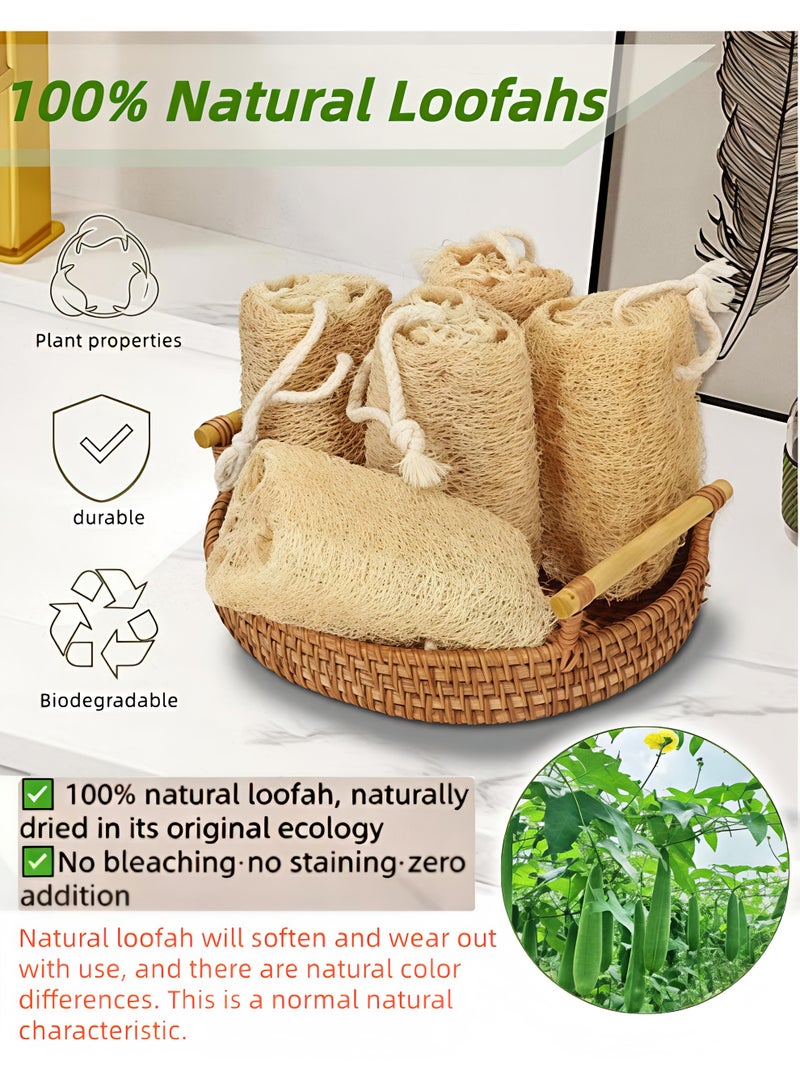 Loucky Natural Egyptian Loofah-2pcs, 100% Organic Exfoliating Loofa, Eco-Friendly Biodegradable Body Scrubber, Exfoliating Bath Sponge, Unscented No Bleach（12cm ） - Image 5