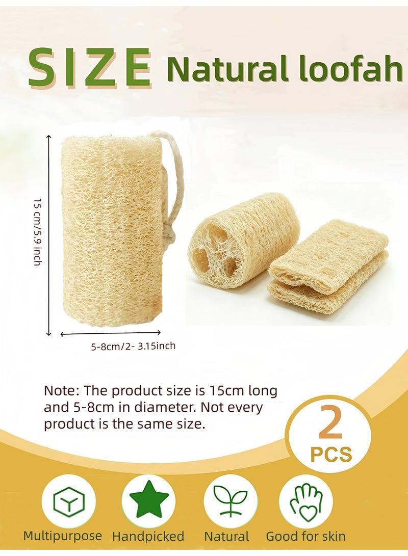 Loucky Natural Egyptian Loofah-2pcs, 100% Organic Exfoliating Loofa, Eco-Friendly Biodegradable Body Scrubber, Exfoliating Bath Sponge, Unscented No Bleach（12cm ） - Image 2