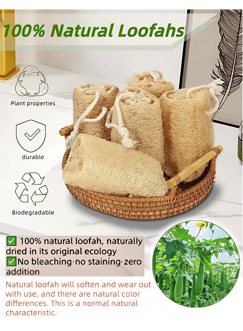 Loucky Natural Egyptian Loofah-2pcs, 100% Organic Exfoliating Loofa, Eco-Friendly Biodegradable Body Scrubber, Exfoliating Bath Sponge, Unscented No Bleach（15cm ） - Image 5