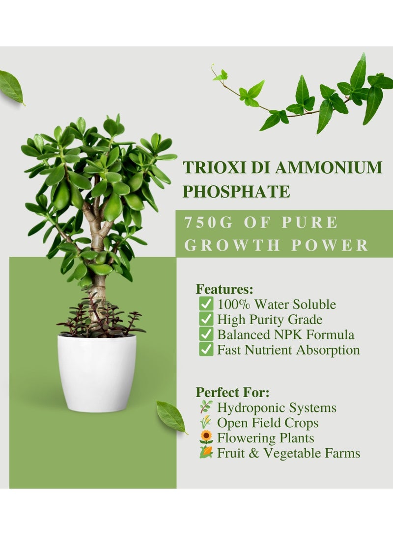 TRIOXI Di Ammonium Phosphate 750g – High Purity Water-Soluble Fertilizer | NPK 18-46-0 for Faster Growth & Root Development - Image 2
