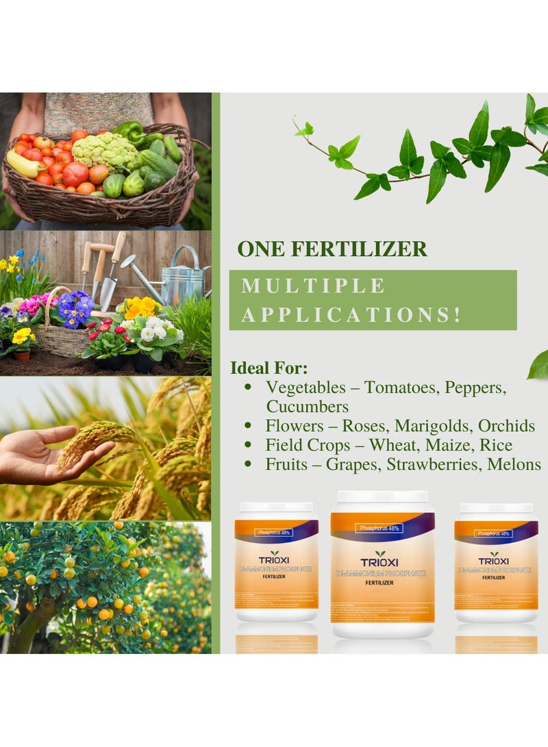 TRIOXI Di Ammonium Phosphate 750g – High Purity Water-Soluble Fertilizer | NPK 18-46-0 for Faster Growth & Root Development - Image 3