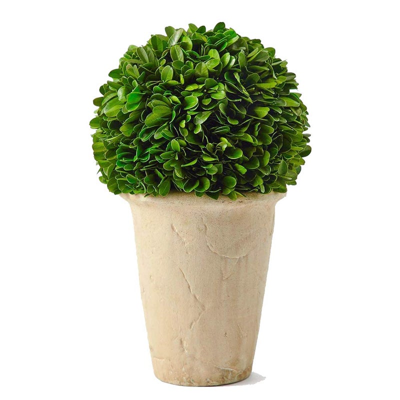 BOXWOOD WORLD Preserved Boxwood Green Plant for Spring Summer Home Office bar House Decor Classic Ball on Pot Design 11 inch Hight Boxwood Ball on Pot 11 INCH