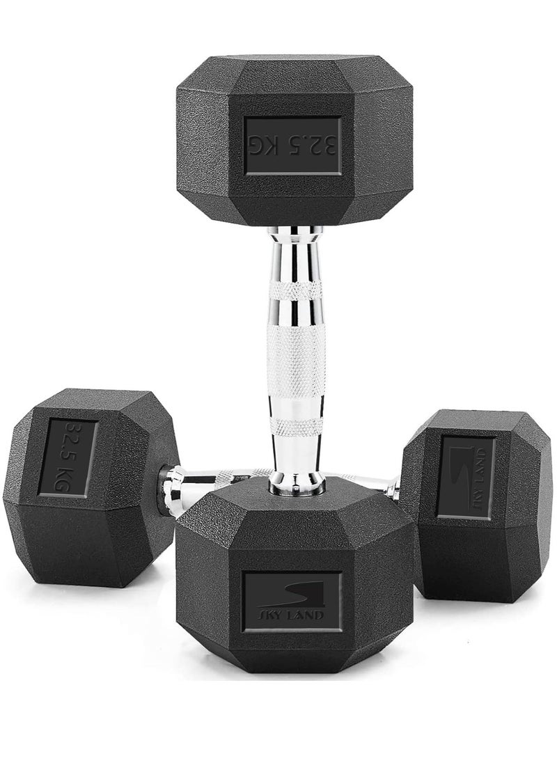 Sky Land - Set Of 2 Rubber Coated Hex Dumbbells, 1 Pair, 2x32.5kg | Exercise Weight Dumbbells, Chrome Plated for Strength Training Weights - Image 1