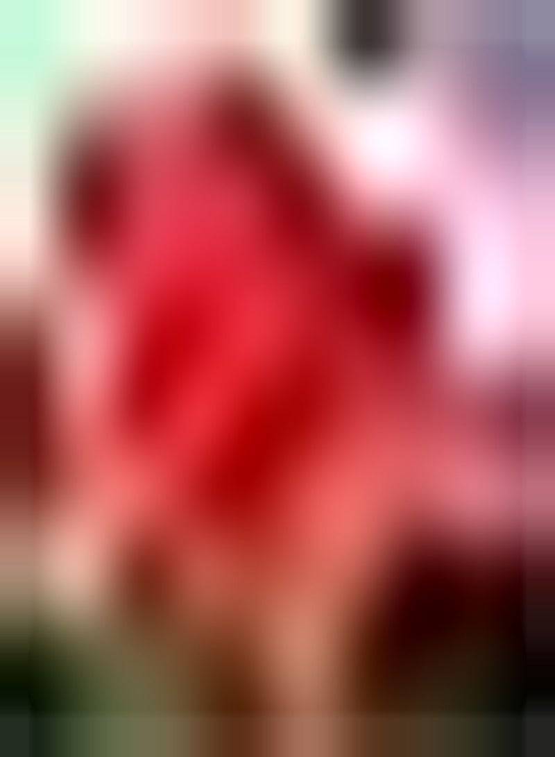 GGOOT 2pcs rote Amaryllis Zwiebeln mehrjährige Amaryllis Blumenpflanze für Zuhause Balkon Garten Dekoration pflegeleichte Sorte Gute ökologische Wirkung - Image 1