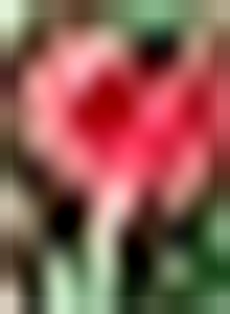 GGOOT 2pcs rote Amaryllis Zwiebeln mehrjährige Amaryllis Blumenpflanze für Zuhause Balkon Garten Dekoration pflegeleichte Sorte Gute ökologische Wirkung - Image 2