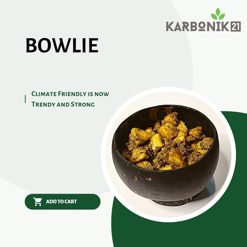 KARBONIK21 Bowlie (Set of 4)| Coconut Shell Bowls | Eco-Friendly Bowl | 1 Bowl (Natural Small) - Image 2