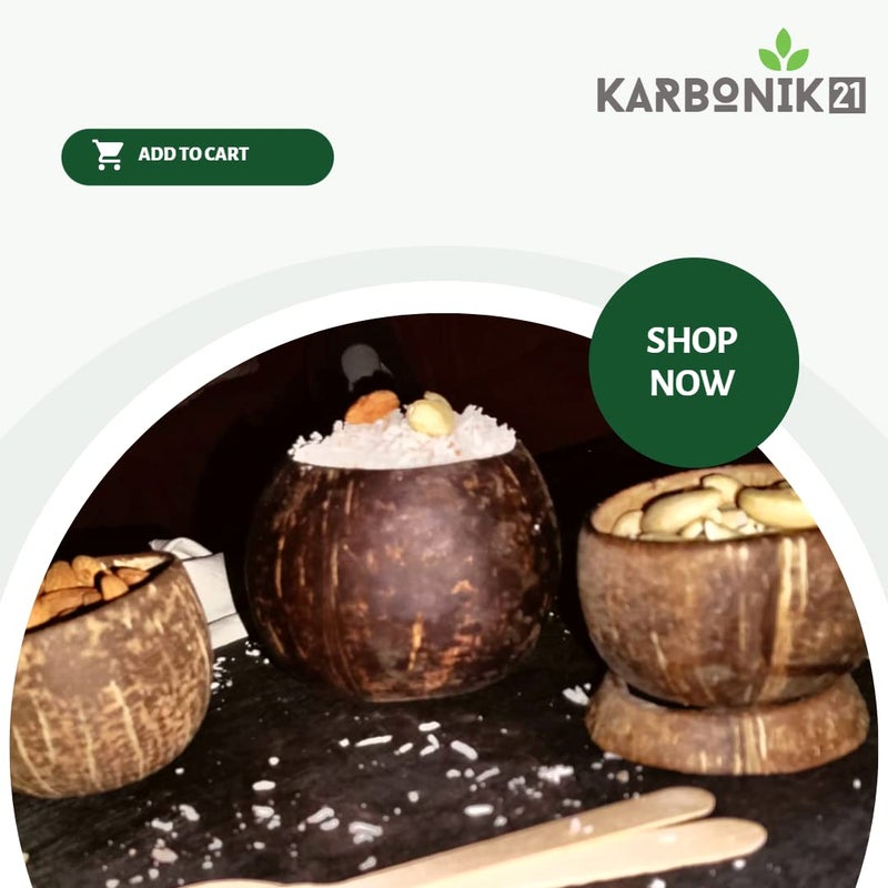 KARBONIK21 Bowlie (Set of 4)| Coconut Shell Bowls | Eco-Friendly Bowl | 1 Bowl (Natural Small) - Image 4