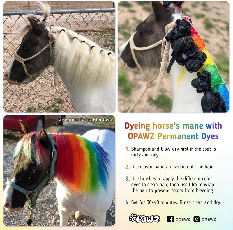 OPAWZ Permanent Dog Hair Dye, Pet Hair Dye Safely Used by Grooming Salons for a Decade, Pet Safe Dye Lasts Over 20 Washes, Bright Color for Dogs and Horses (Adrian Pink) - Image 4