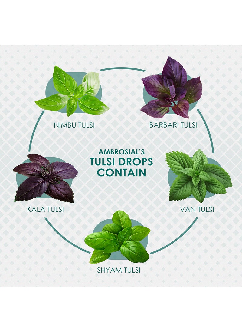 ambrosial Tulsi Drops Concentrated Extract of 5 Rare Tulsi High strength ark drops 100% Natural Immunity Booster Relieves Cough & Cold30 ml  - Image 5
