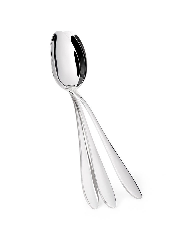 Fissman 3-Piece Dinner Spoon 20cm, Stainless Steel Cutlery Set Floy Series, Silverware Set Dinner Spoon Pack of 3, Non Slip Grip Handle | Mirror Polished | for Home, Kitchen, Restaurant  - Image 1