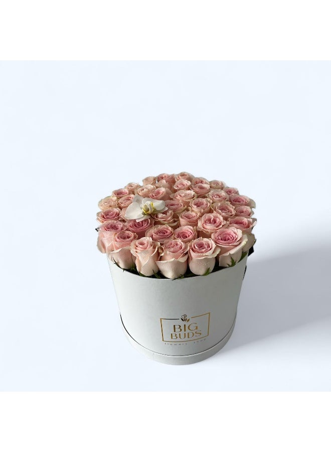 BBF Candy Beauty Box For Her