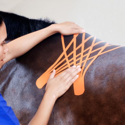 VETKIN VetkinTape Canine & Equine Kinesiology Tape | Veterinary Medical Tape | Vet Wrap for Joint Support & Pet Care | Self Adhesive Bandage Wrap | Orange | 2.4in | (Pack of 1) - Image 5