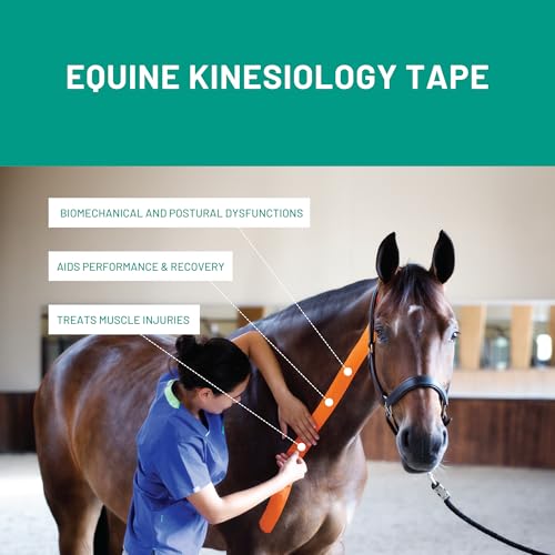 VETKIN VetkinTape Canine & Equine Kinesiology Tape | Veterinary Medical Tape | Vet Wrap for Joint Support & Pet Care | Self Adhesive Bandage Wrap | Orange | 2.4in | (Pack of 1) - Image 4