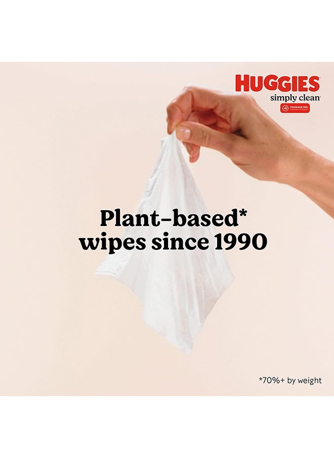 Huggies - Huggies Simply Clean Fragrance-Free Baby Wipes, Unscented Diaper Wipes, 11 Flip-Top Packs (704 Wipes Total) - Image 1