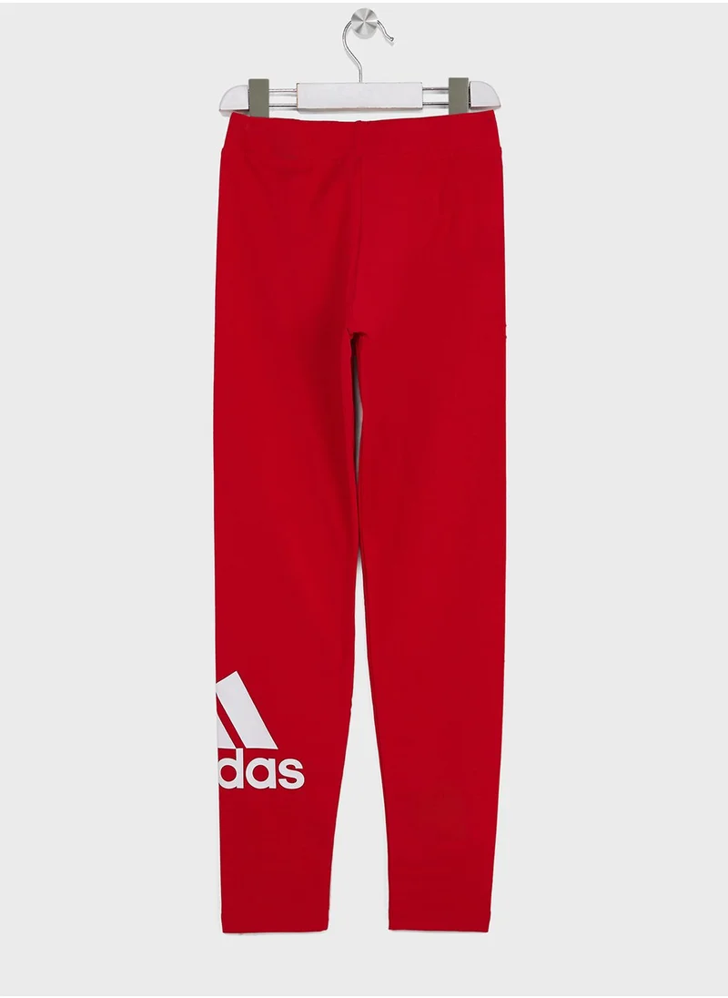 Adidas Essentials Big Logo Leggings