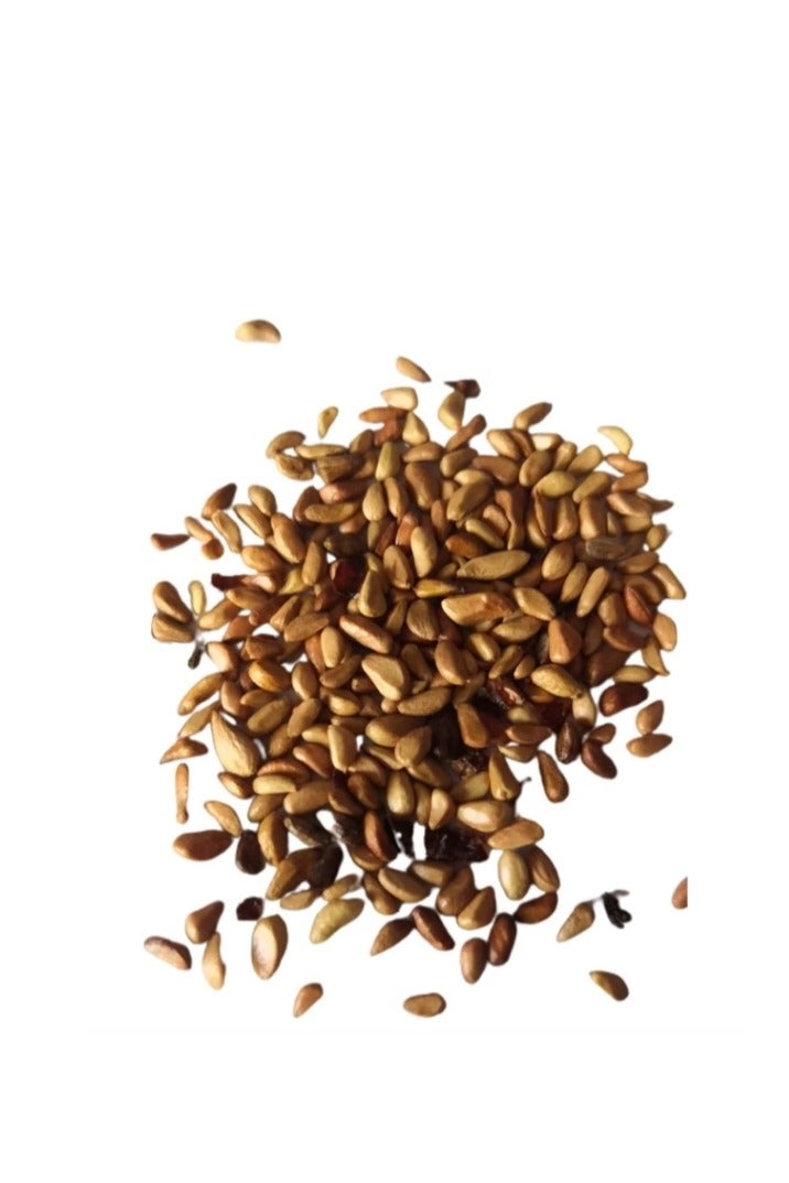 100 قطعة من بذور الورد لزراعة حديقة الشرفة، بذور الورد الأزرق السماوي - Image 3