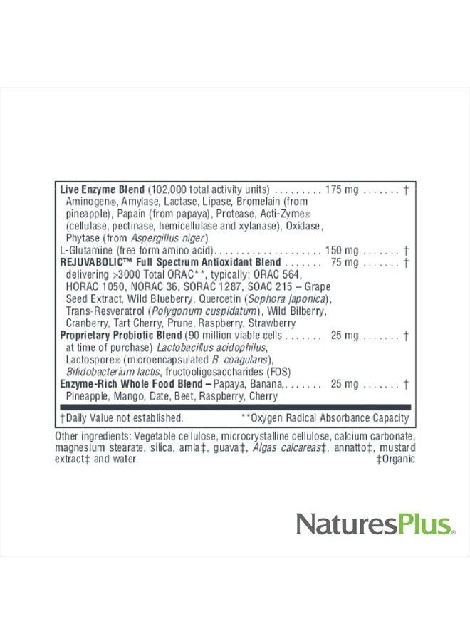 NaturesPlus AgeLoss Digestion Support - 90 Capsules - Prebiotics, Live Enzymes & 150 mg L-Glutamine - Gluten Free - 30 Servings