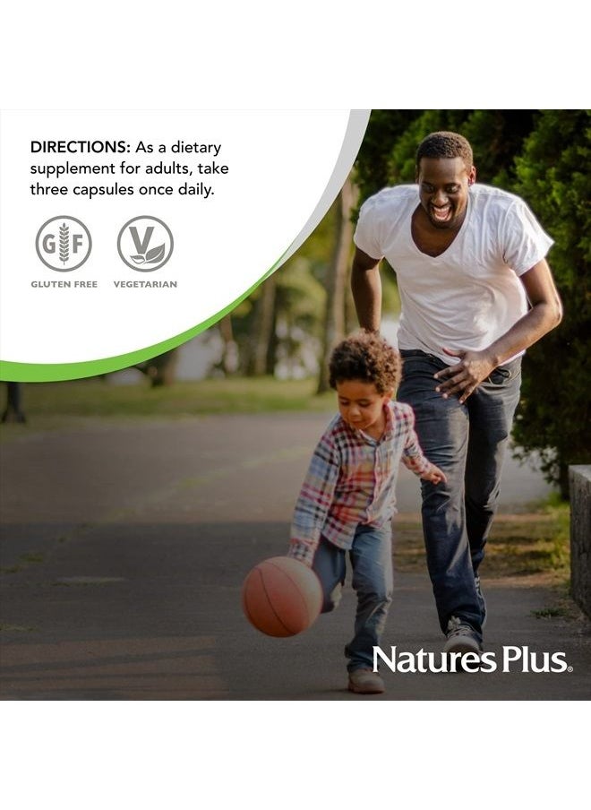 NaturesPlus AgeLoss Digestion Support - 90 Capsules - Prebiotics, Live Enzymes & 150 mg L-Glutamine - Gluten Free - 30 Servings