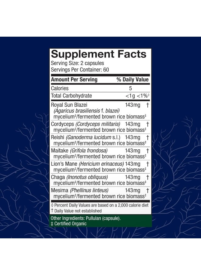 Host Defense فانجي برفيكت، ستاميتس 7، دعم المناعة اليومي، 120 كبسولة نباتية - Image 2