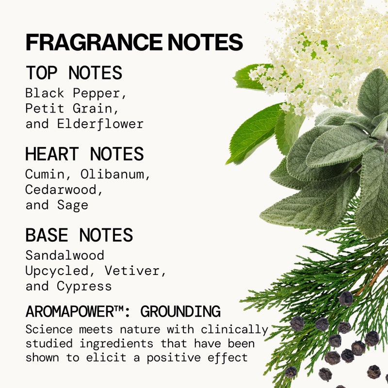 Pacifica Hair Mist Perfume & Full Body Spray for Women - Montana Sky Body Mist Fragrance w/Cedarwood, Elderflower, Black Pepper, Sage & Sandalwood Clean Beauty Alcohol-Free, Vegan & Cruelty-Free 5 oz - Image 3