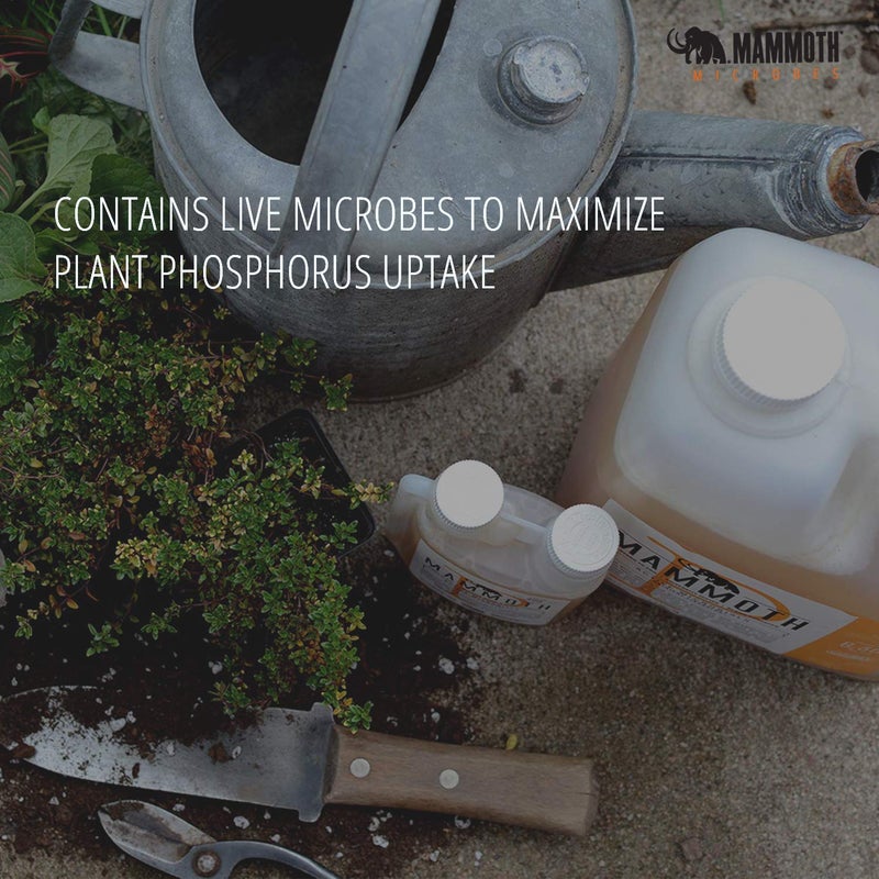 Mammoth 1000ml Mammoth P - Organic Bloom Booster | Soil Inoculant | - Image 3