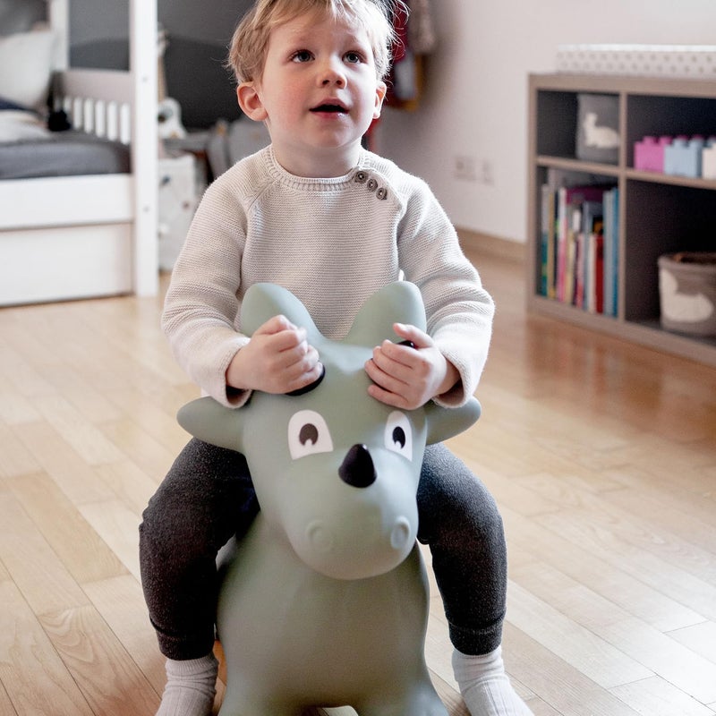 Kindsgut Bouncy Animal Hopper Dino for Children, Designed in Germany, Playful and Modern Colors, air Pump Included, Indoors and Outdoors - Image 4