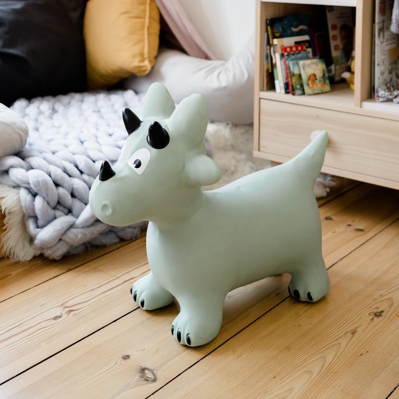 Kindsgut Bouncy Animal Hopper Dino for Children, Designed in Germany, Playful and Modern Colors, air Pump Included, Indoors and Outdoors - Image 3